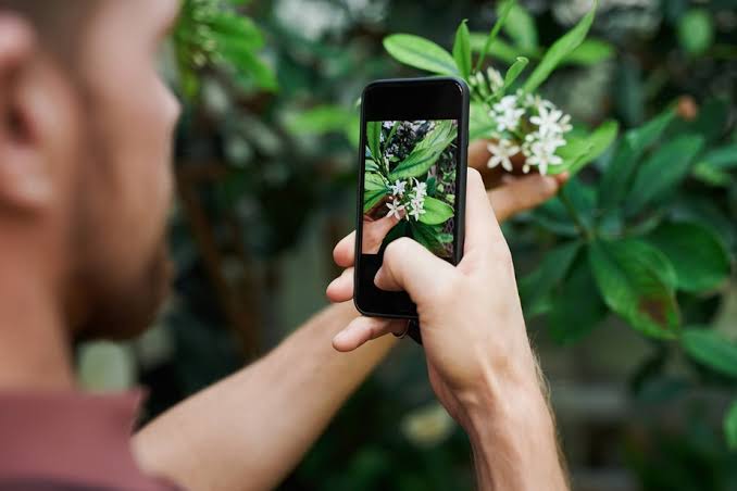 Plant Care App: Identify, Diagnose, and Nurture Your Plants